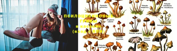 альфа пвп VHQ Осинники