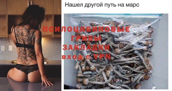 прущий лед Няндома
