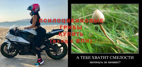 прущий лед Няндома