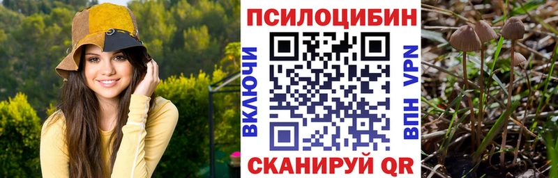 Галлюциногенные грибы Psilocybe  магазин продажи   Ступино 