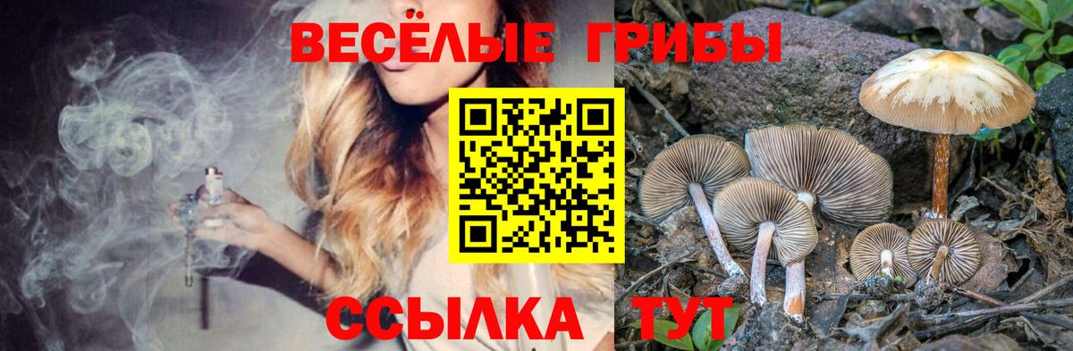 Галлюциногенные грибы Cubensis  Вход с VPN  Ступино 